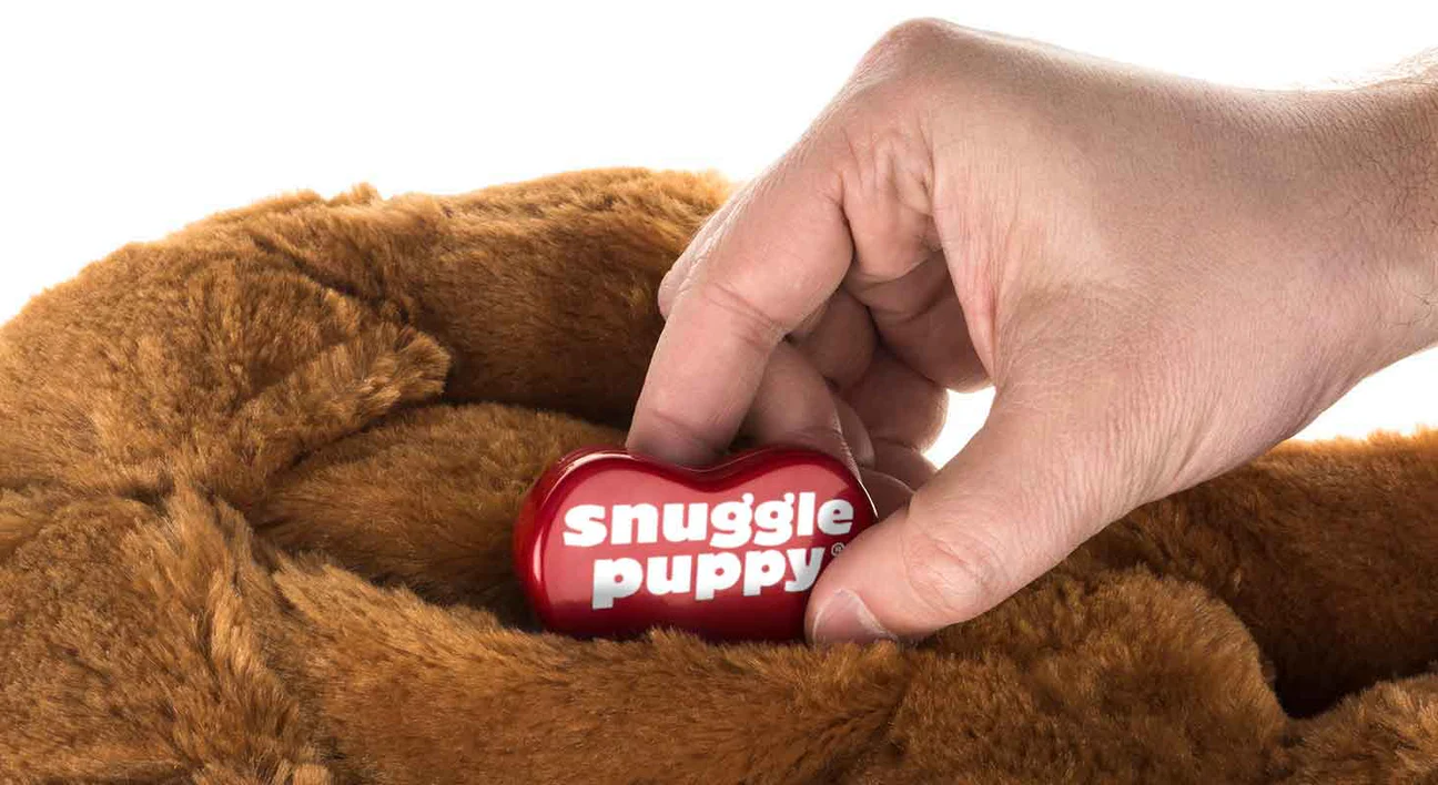 Comfort That Pets Truly Crave